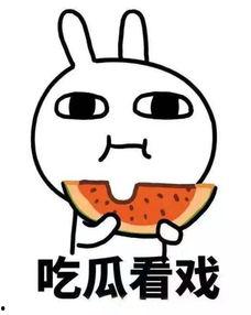 吃瓜看穿搭,品味时尚穿搭美学  第1张